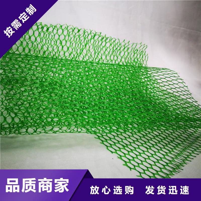 塑料环保三维土工网垫