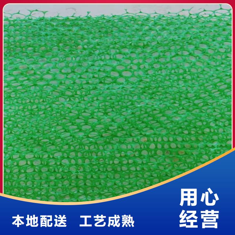 三维土工网垫-三维土工网垫