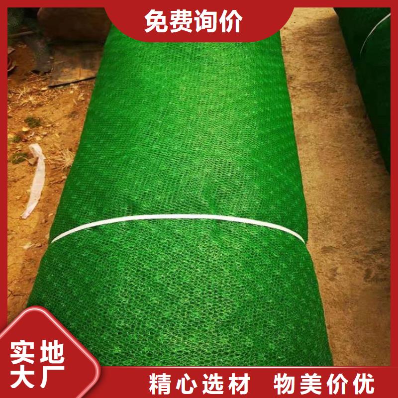 三维植被网聚酯玻纤布保障