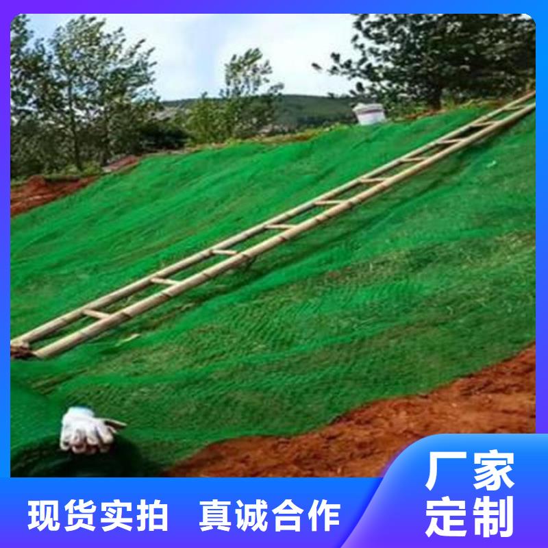 三维植被网土工格栅经验丰富质量放心