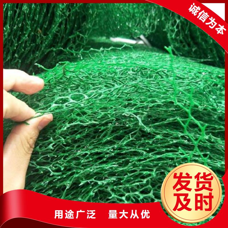三维植被网聚酯玻纤布保障