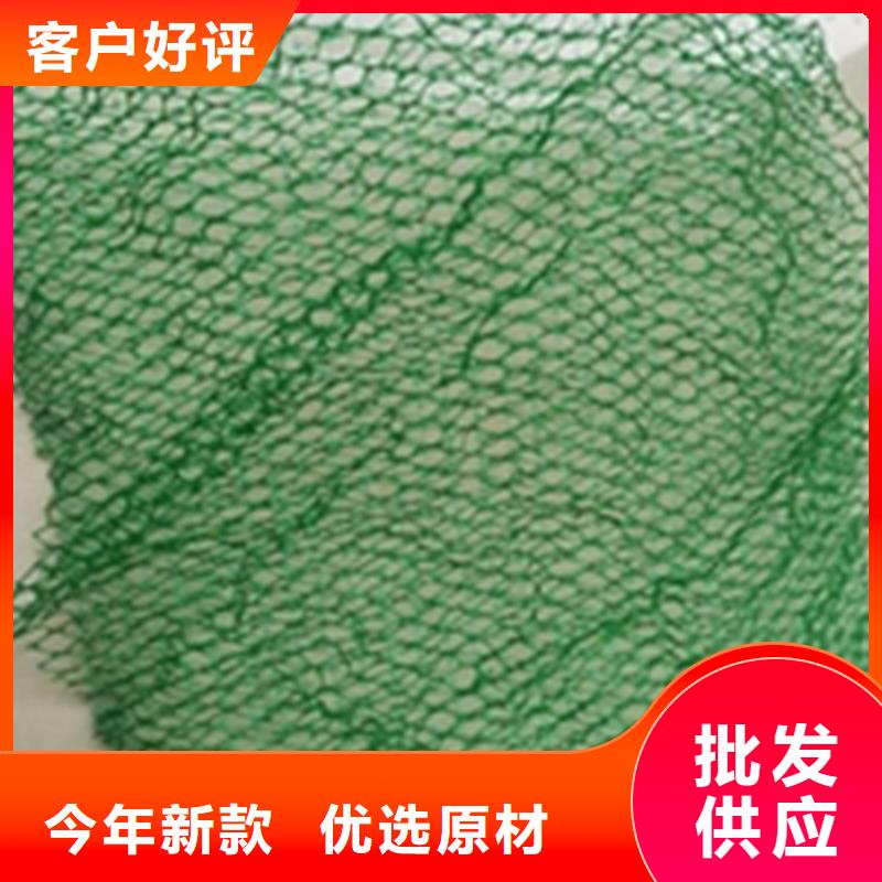 三维植被网HDPE土工膜源头厂家量大价优