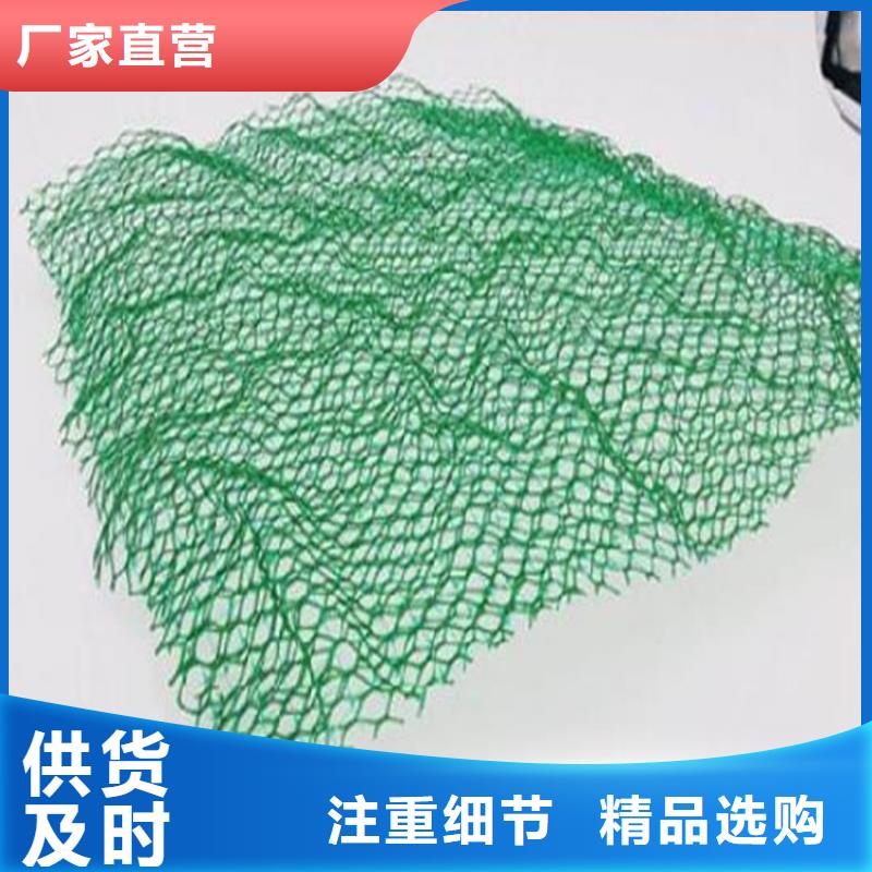 三维植被网HDPE土工膜源头厂家量大价优
