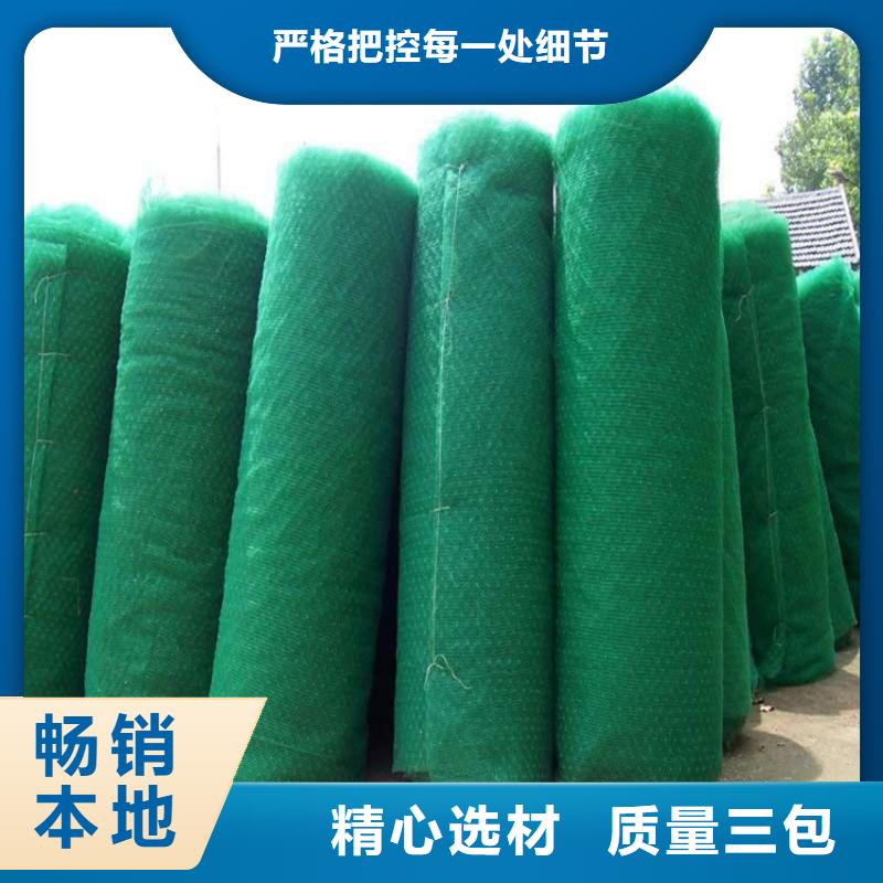 三维植被网土工格栅经验丰富质量放心