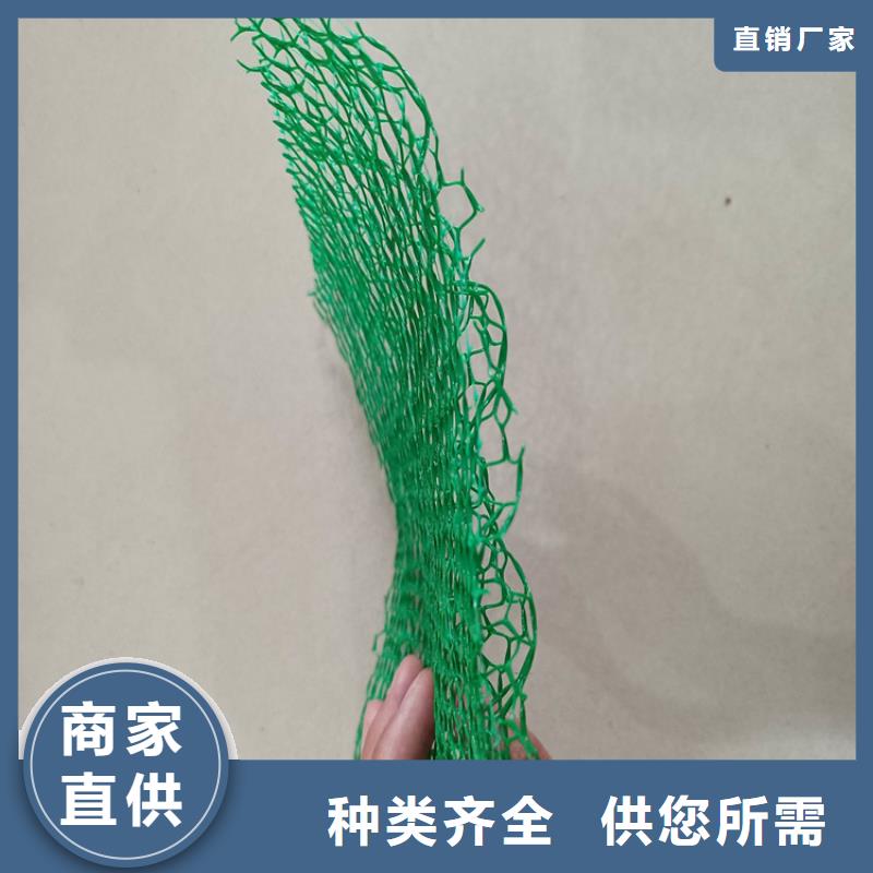 三维植被网HDPE土工膜源头厂家量大价优
