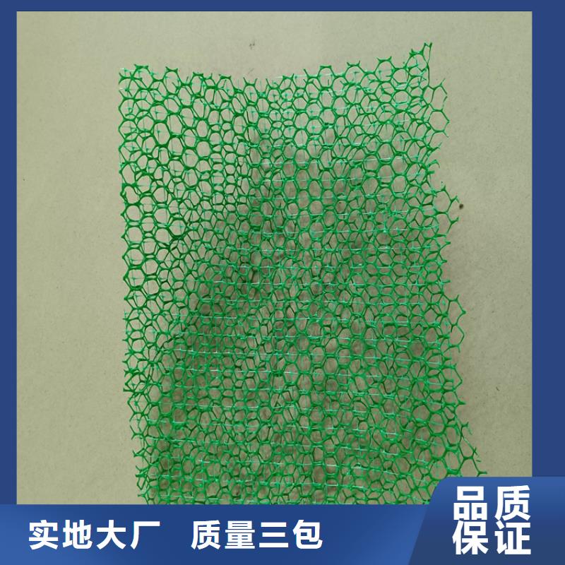 三维土工网垫-三维土工网垫
