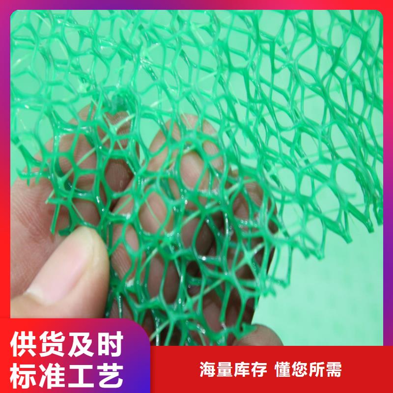 草皮环保三维护坡加筋网垫
