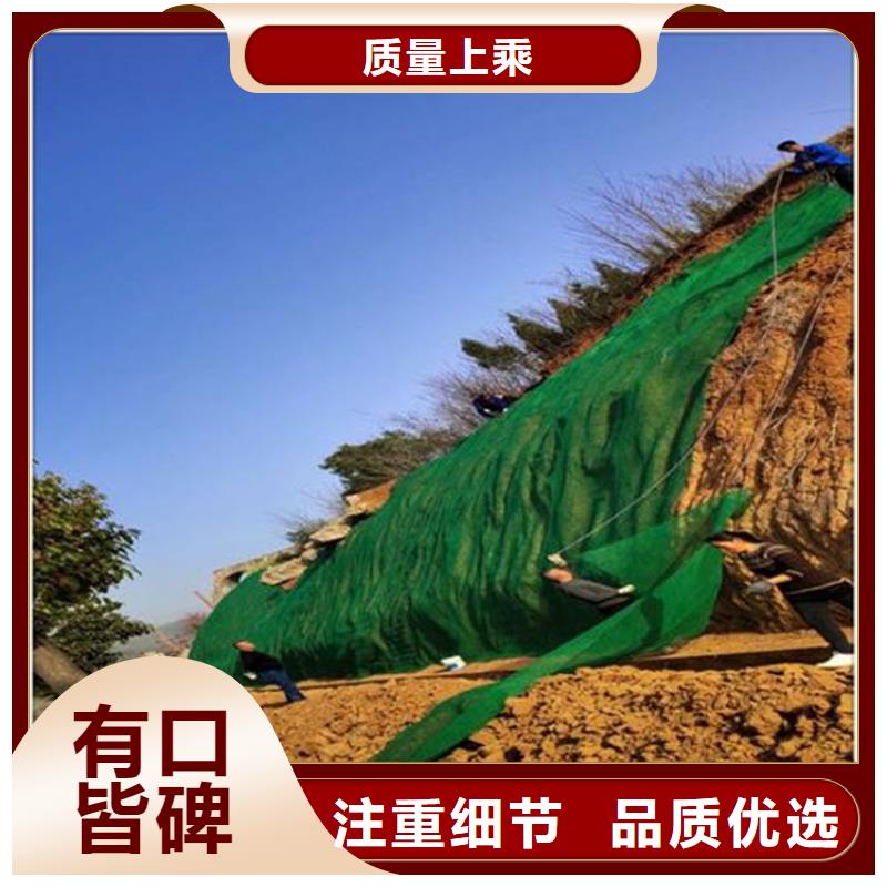 三维植被网HDPE土工膜源头厂家量大价优