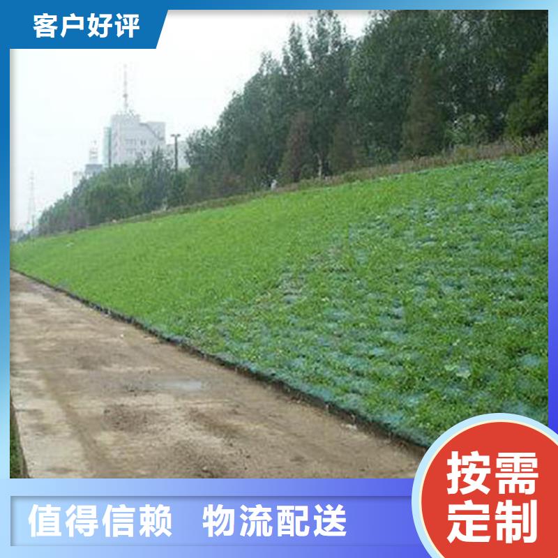 三维植被网HDPE土工膜源头厂家量大价优