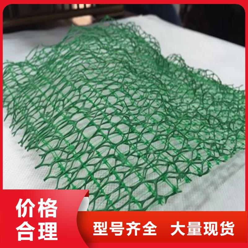三维植被网HDPE土工膜源头厂家量大价优