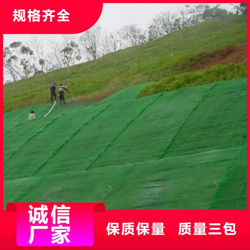 三维植被网HDPE土工膜源头厂家量大价优