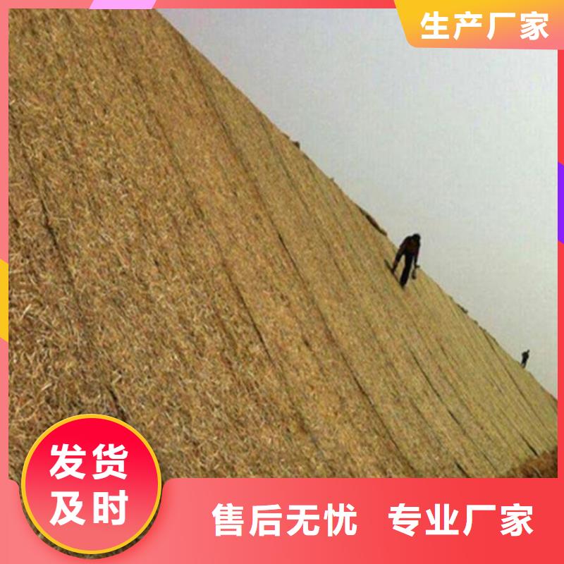 椰丝毯-土工膜专业生产厂家