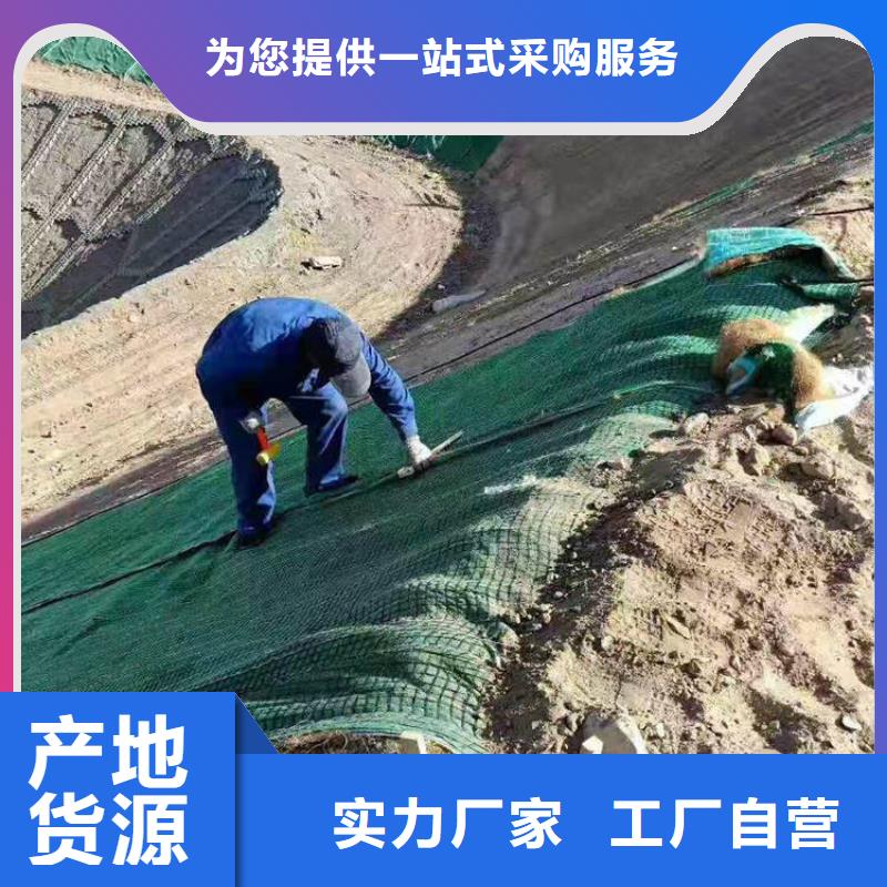 椰丝毯-土工膜专业生产厂家
