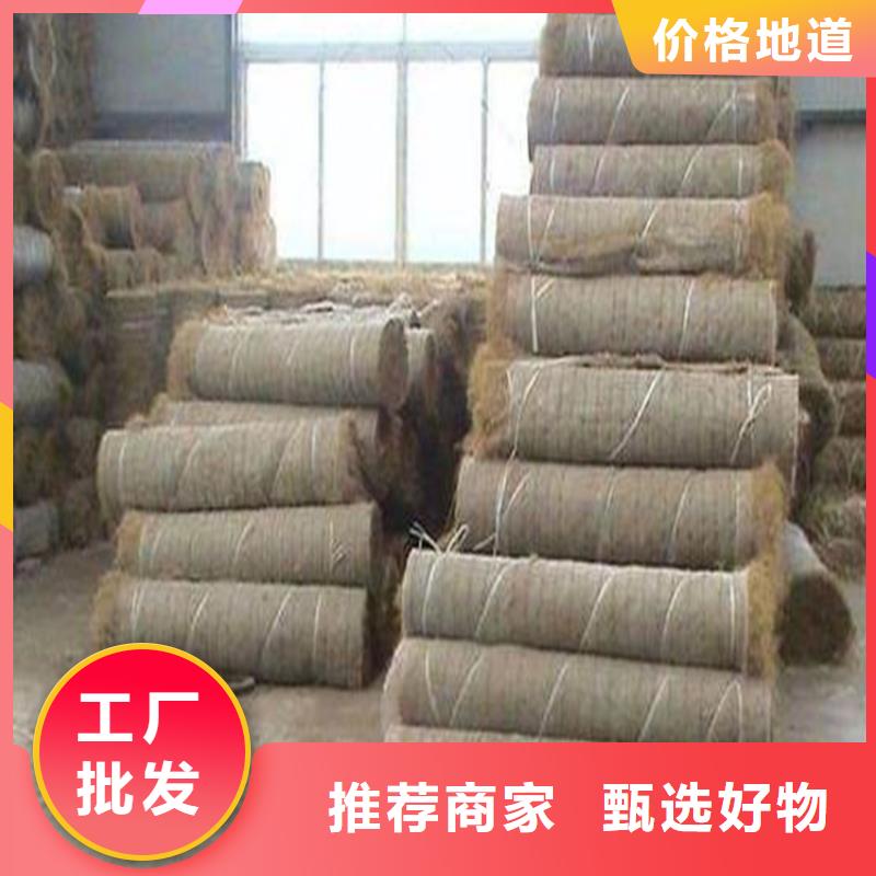椰丝毯-土工膜专业生产厂家