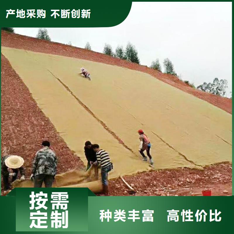 椰丝毯-土工膜专业生产厂家