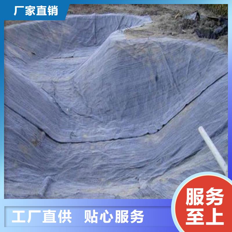 膨润土防水毯土工膜生产经验丰富
