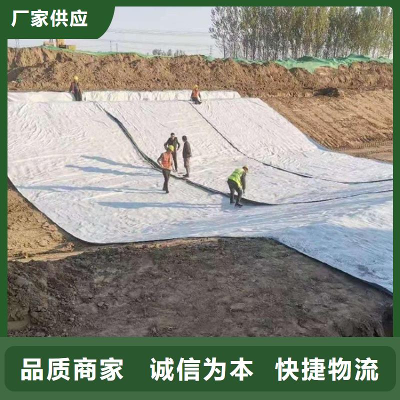 膨润土防水毯-双向塑料土工格栅厂家直销货源充足