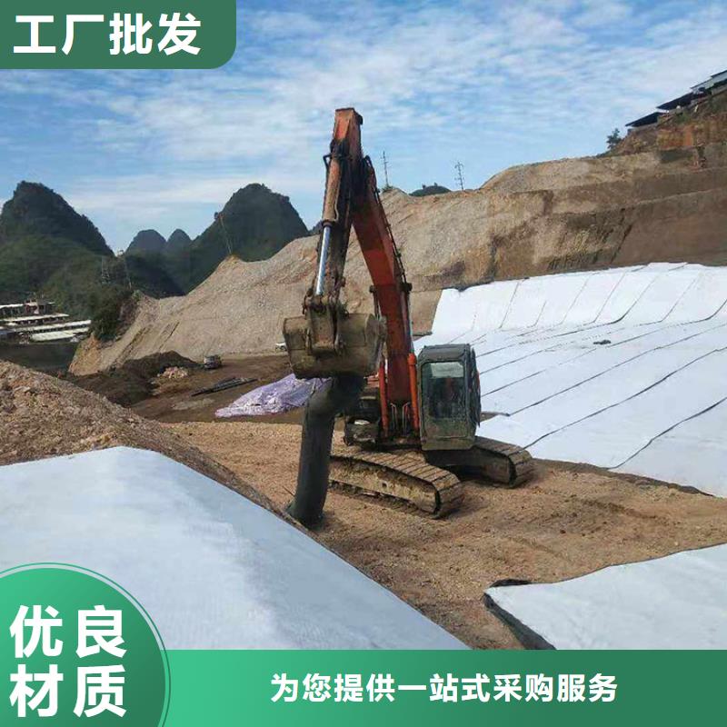 膨润土防水毯视频-江阳|纳溪|广元|巴中|南充|资阳膨润土防水毯厂家型号齐全-中齐建材(泸州市分公司)