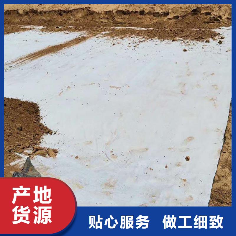 【膨润土防水毯防渗膜专注细节使用放心】