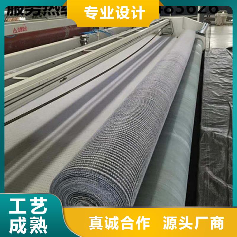 膨润土防水毯土工膜生产经验丰富