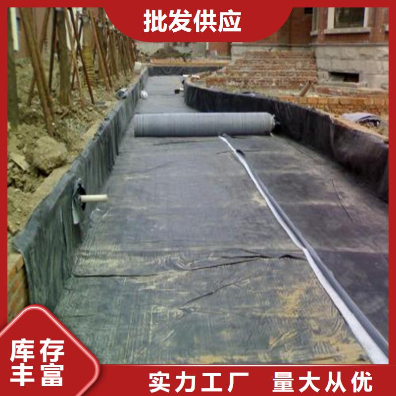 膨润土防水毯土工膜生产经验丰富