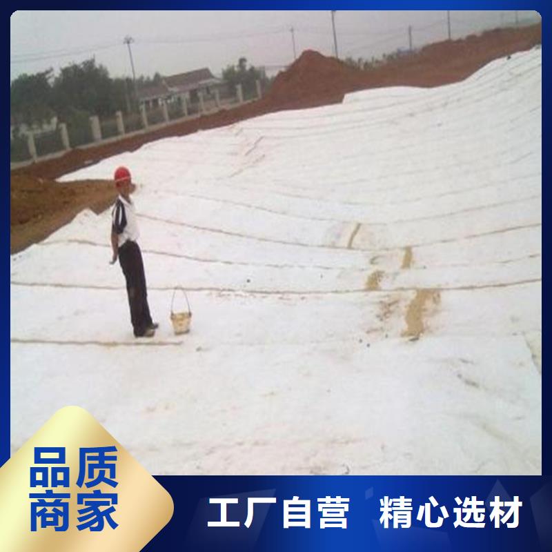 膨润土防水毯-双向塑料土工格栅厂家直销货源充足