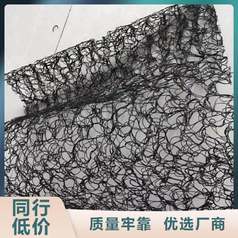 通风降噪丝网土工格栅库存充足