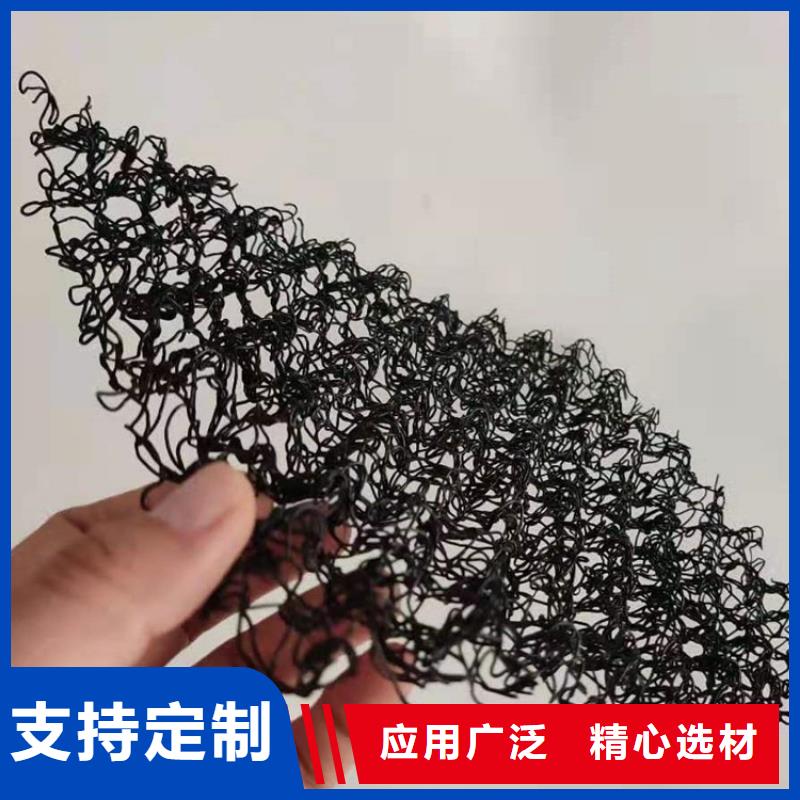 水土保护毯-三维植被网我们更专业