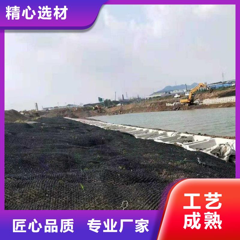 膨润土防水毯视频-四川省内江市|隆昌|威远|巴中|甘孜|广元|攀枝花膨润土防水毯-中齐