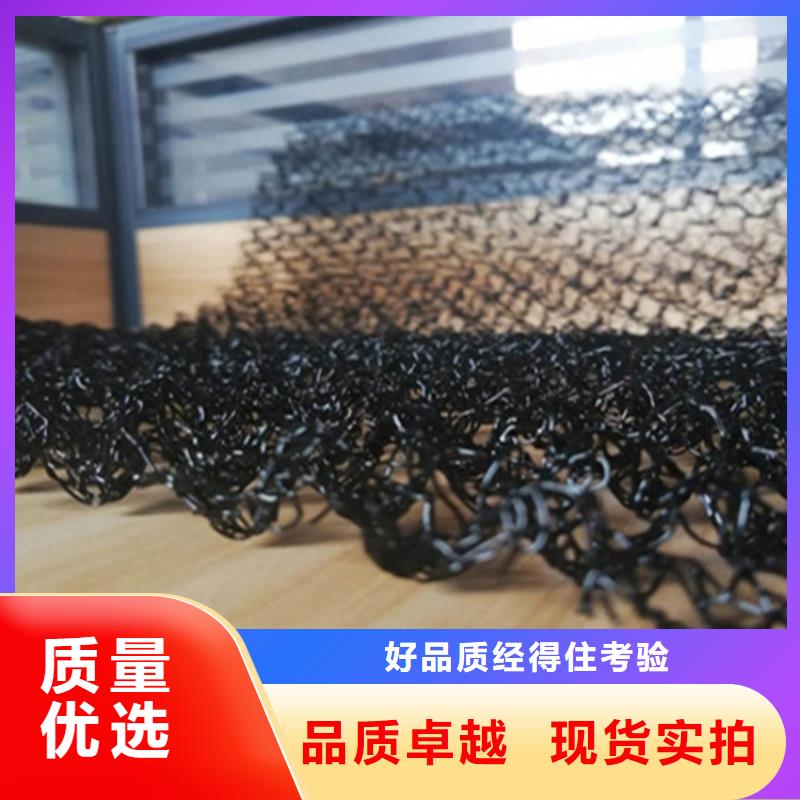 水土保护毯-三维植被网我们更专业
