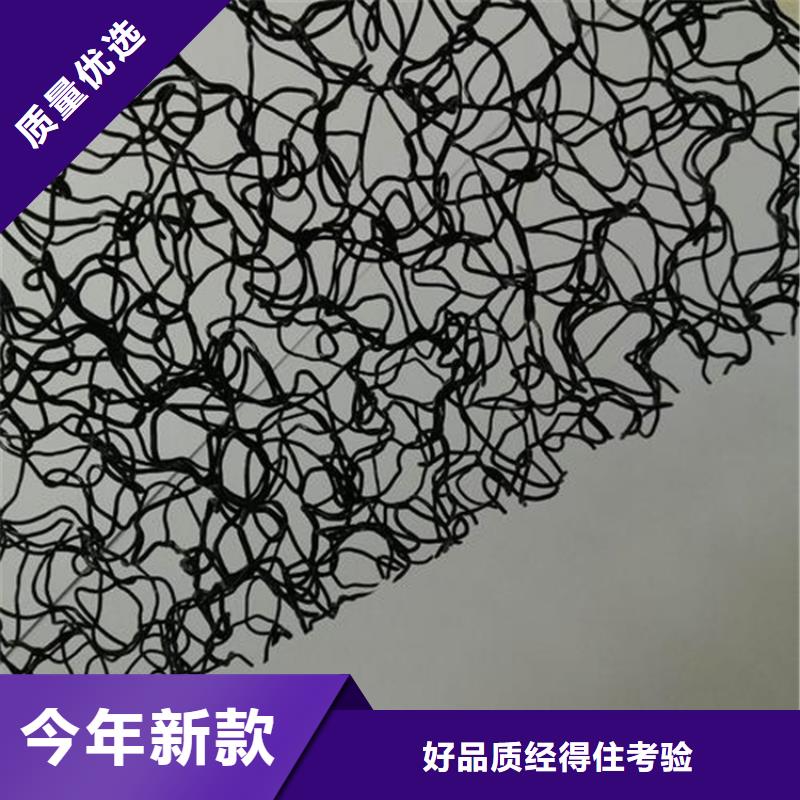 水土保护毯-三维植被网我们更专业