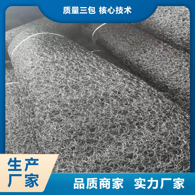 水土保护毯-三维植被网我们更专业