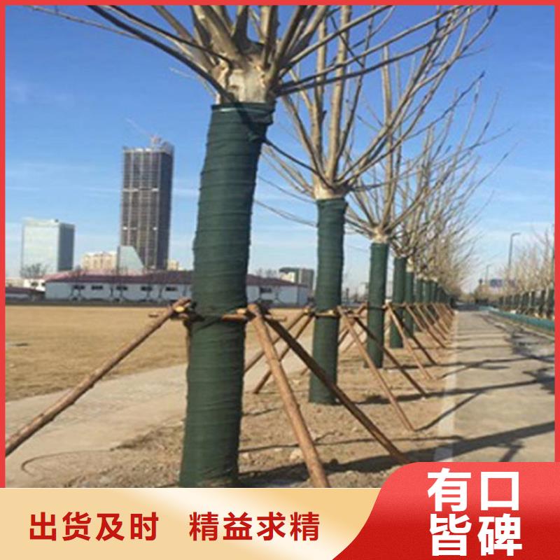 中齐膨润土防水毯裹树布-【防渗膜】交货准时gdsgd.com