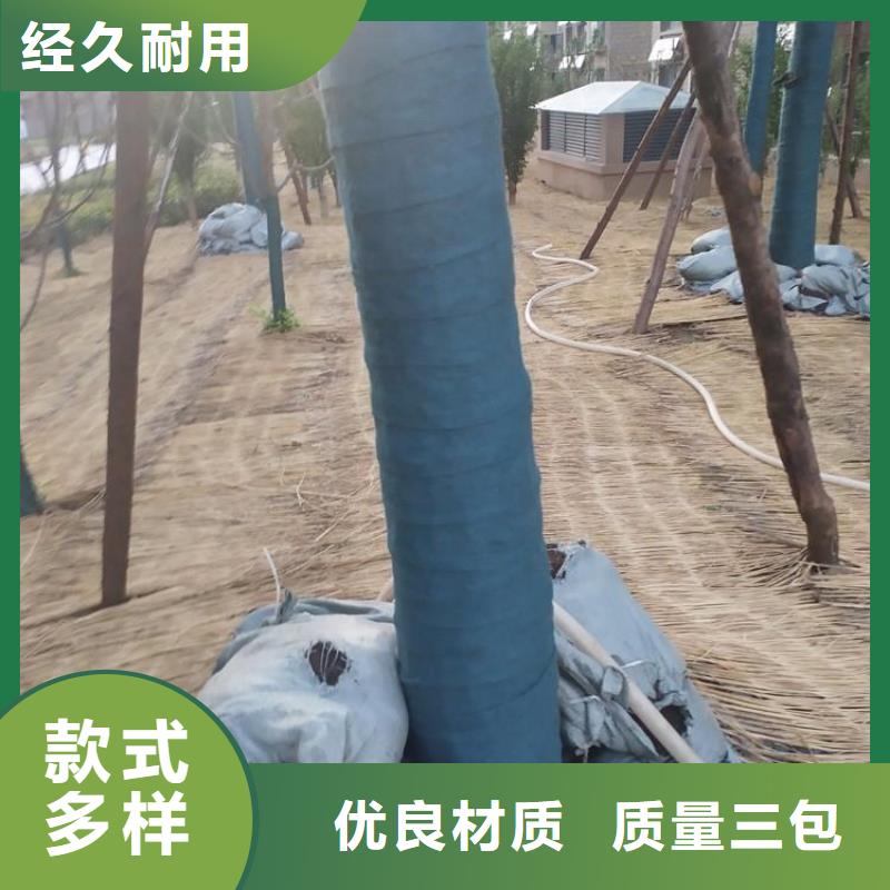 【裹树布】土工布实力大厂家