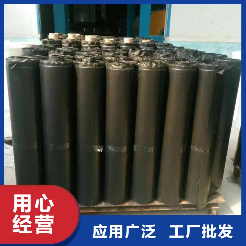 抗裂贴膨润土防水毯专注生产N年
