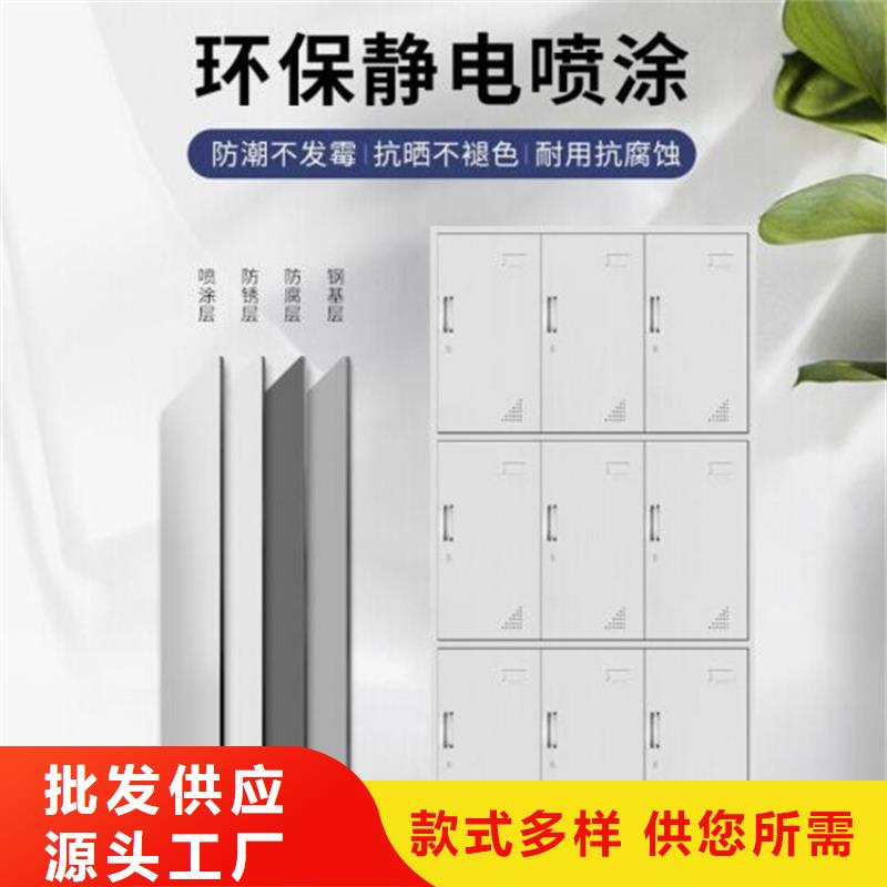 文光街道走廊铁皮柜单面钢制书架