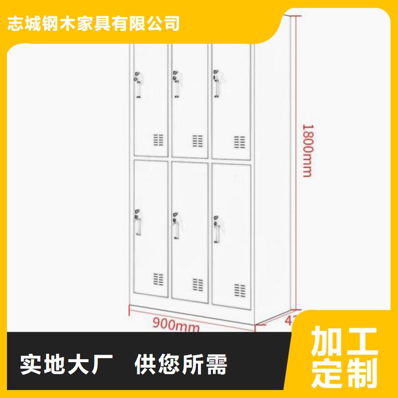 学生铁皮柜钢制图书架