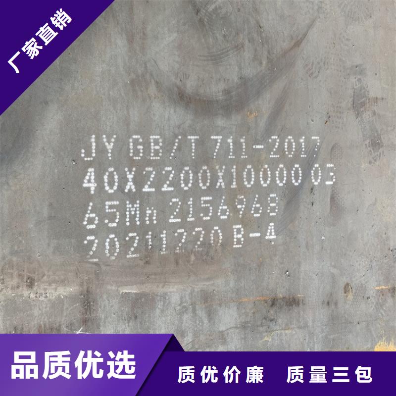 益阳弹簧钢板现货厂家
