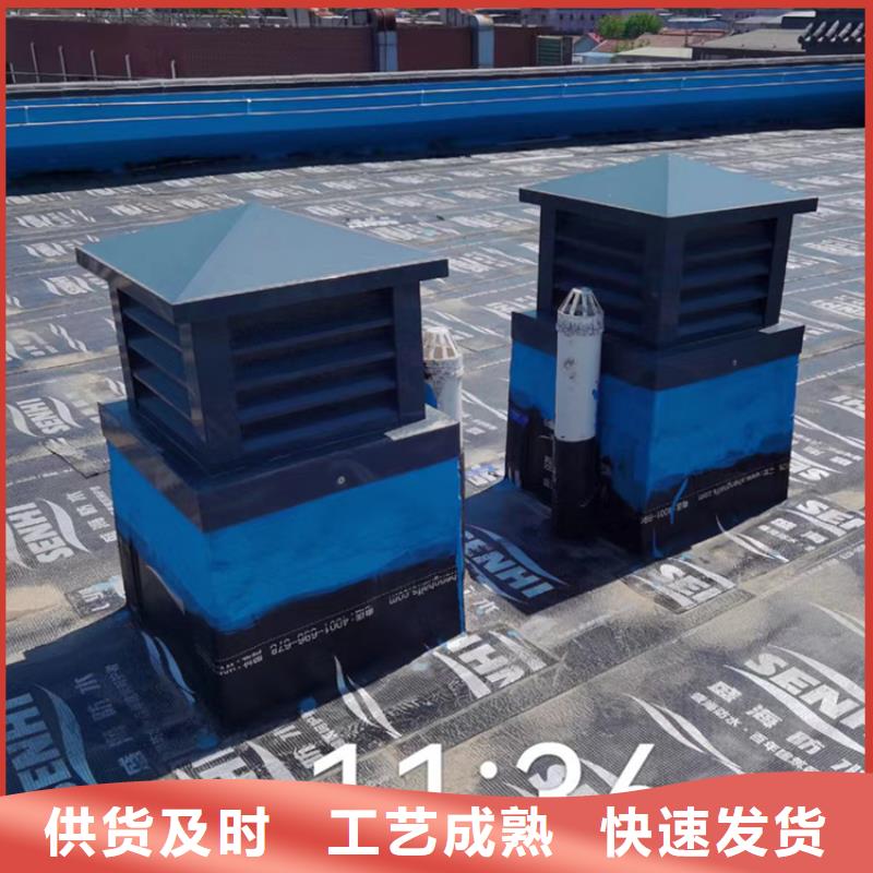 厂家批发 B系列拔气风帽 价格优惠