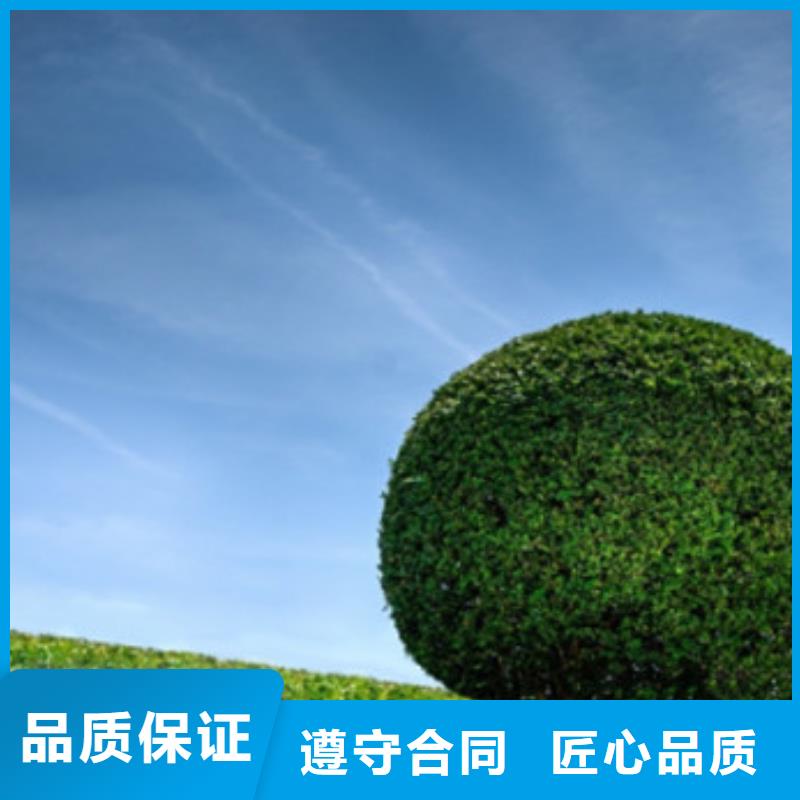 工程预算竣工结算质优价廉