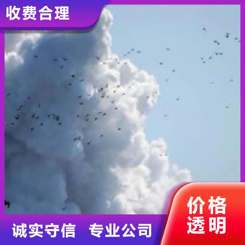 工程预算-做竣工结算知名公司