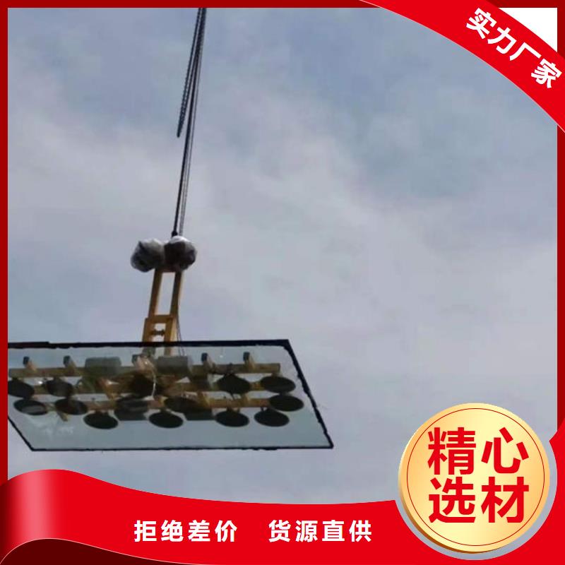 江苏南京玻璃吸盘器按需定制