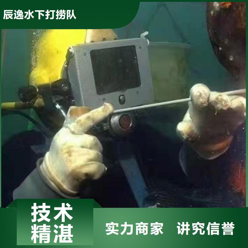 翁源县水下打捞凶器性价比高