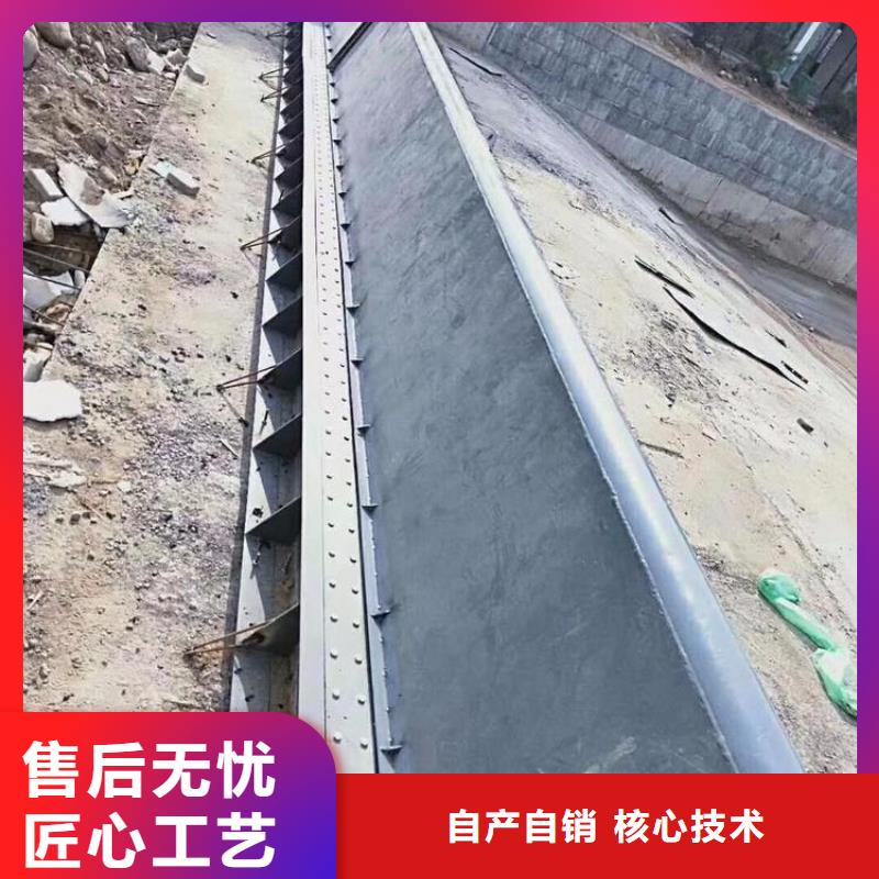 翻板闸门渠道铸铁闸门多种规格供您选择