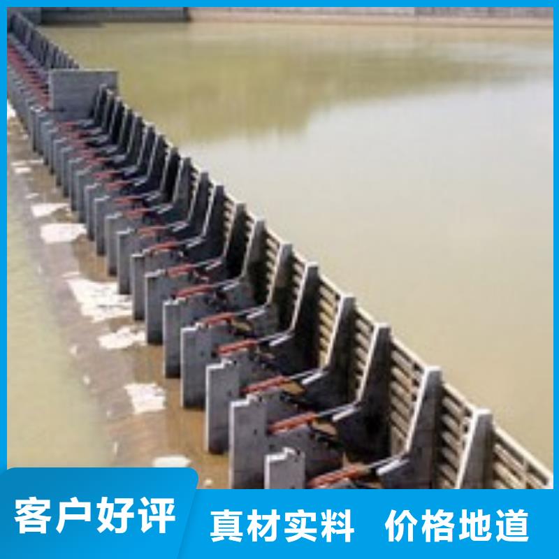 翻板闸门泵闸原厂制造