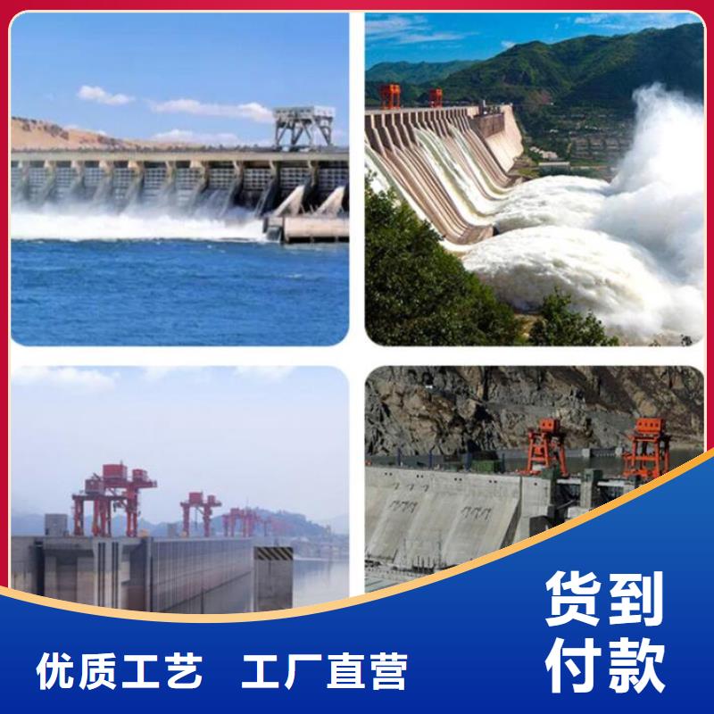 截流井闸门合页钢坝源厂直接供货