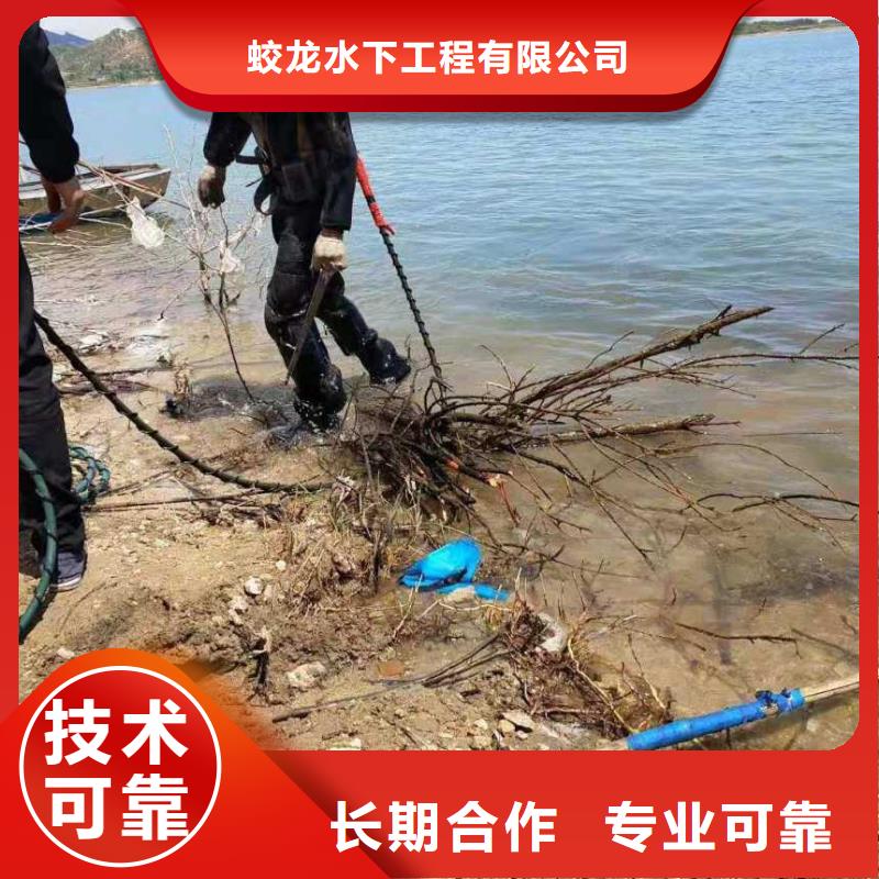 批发水鬼服务公司