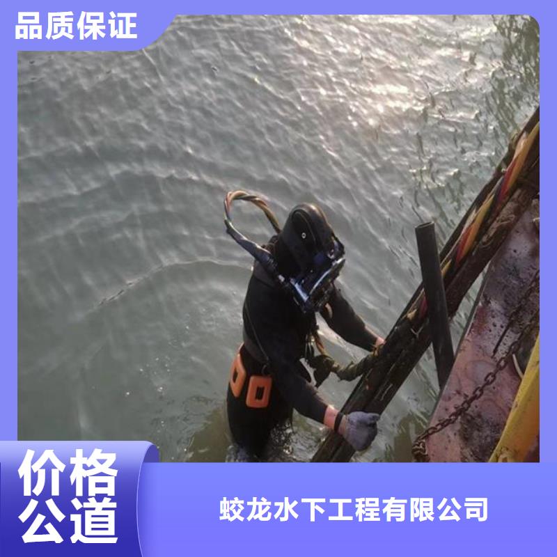 蛙人打捞队品牌厂家