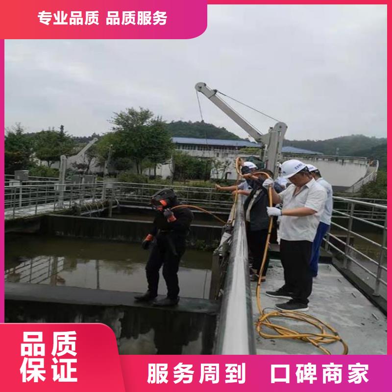 桥桩桥墩水下检测录像公司 桥桩桥墩水下检测录像公司价格
