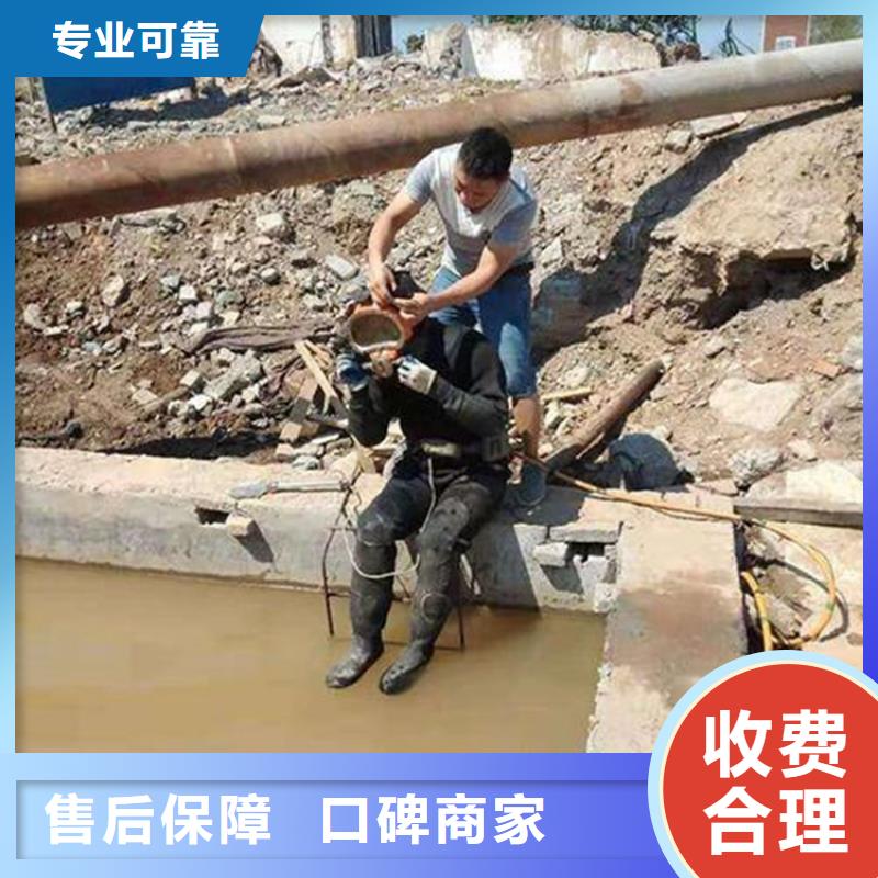 潜水服务公司-水下照相服务一站式服务